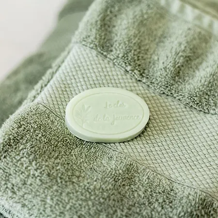 בית נופש Le Clos De La Jouvence - 4* A 15 Minutes Du Puy Du Fou, 6 Personnes