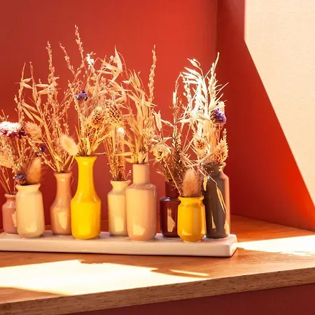 Le Clos De La Jouvence - 4* A 15 Minutes Du Puy Du Fou, 6 Personnes סן-לורן-סור-סבר