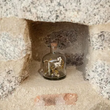 בית נופש Le Clos De La Jouvence - 4* A 15 Minutes Du Puy Du Fou, 6 Personnes